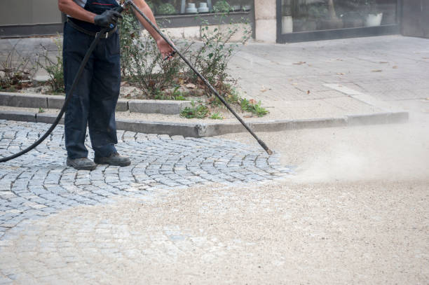 Best Sidewalk and Walkway Cleaning  in Hillsboro, WI
